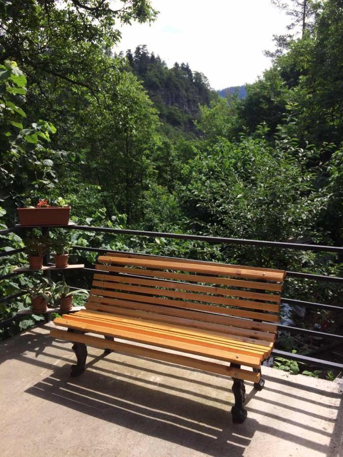 Borjomi Veranda Dış mekan fotoğraf