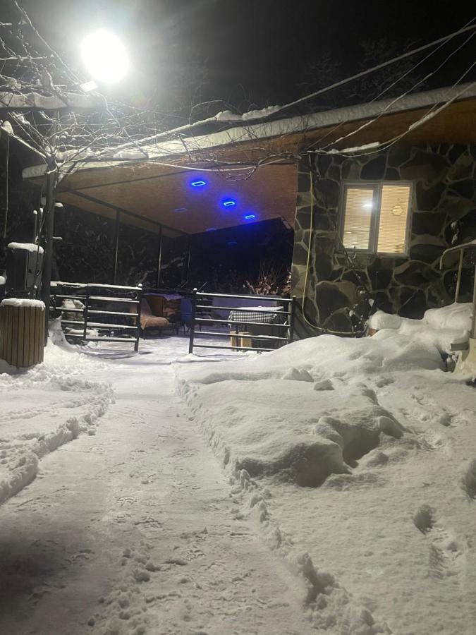 Borjomi Veranda Dış mekan fotoğraf