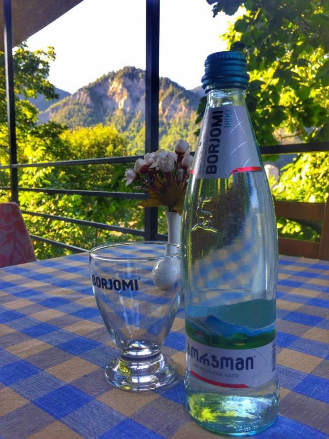 Borjomi Veranda Dış mekan fotoğraf