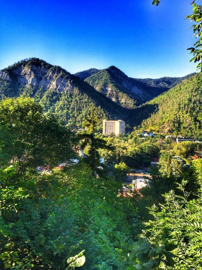 Borjomi Veranda Dış mekan fotoğraf